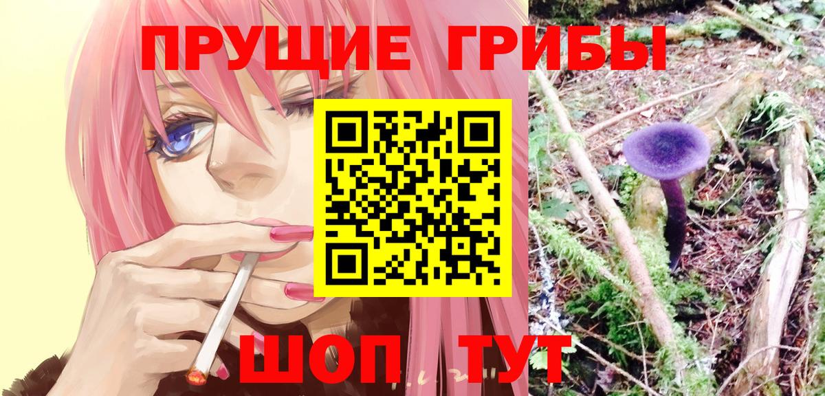 Нефтеюганск  дарнет шоп  Галлюциногенные грибы GOLDEN TEACHER  Вход с VPN  Галлюциногенные грибы прущие грибы 